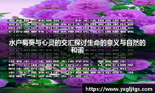 彩神vll